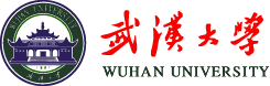 武漢大學智慧水業(yè)研究所.